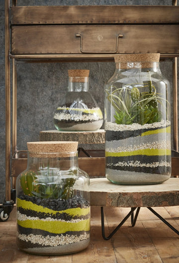 A variety of glass terrariums, each uniquely designed with lush green moss, small plants, and decorative stones. The transparent containers showcase intricate miniature ecosystems, adding a natural and elegant touch to any space.