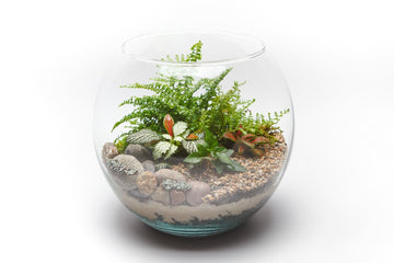 A beautifully arranged glass bowl terrarium featuring lush green moss, small stones, and delicate plants. The open design allows a clear view of the natural textures inside, creating a miniature, self-sustaining ecosystem perfect for home or office decor.