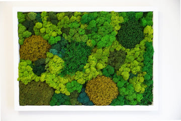 A beautifully crafted moss wall art piece displayed against a clean white background. The vibrant green moss creates a striking contrast, showcasing its rich texture and organic design as a natural decor element.