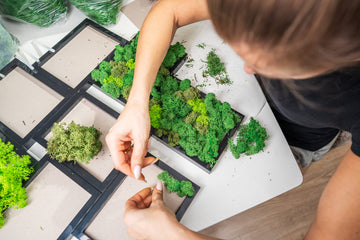 A woman carefully fills a picture frame with vibrant green moss, crafting a unique piece of natural wall art. Her hands delicately arrange the soft moss, creating an organic and textured design for a decorative display.