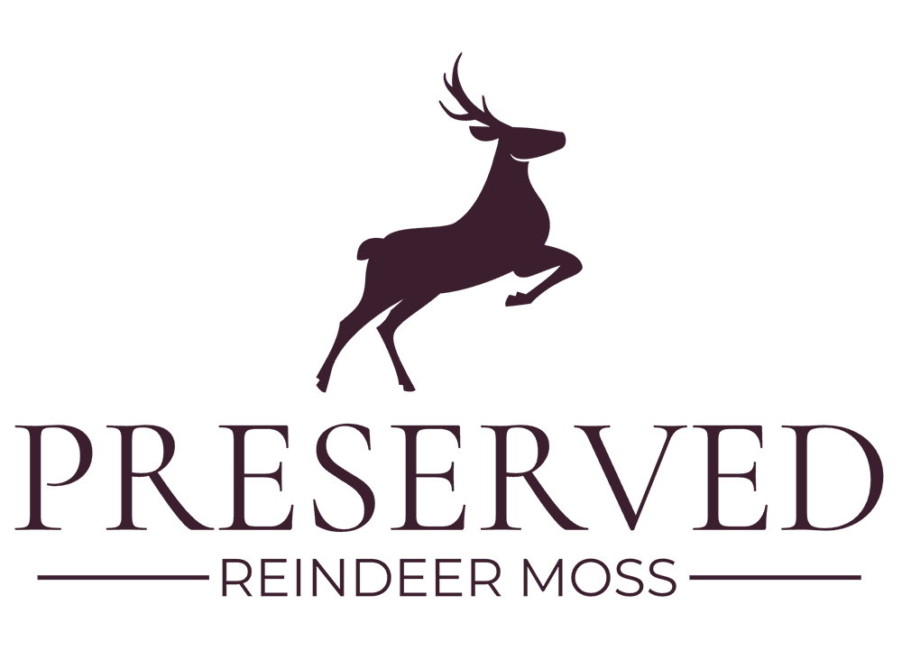 Preserved Reindeer Moss