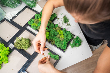 How to use Preserved Reindeer Moss in DIY projects and floral designs