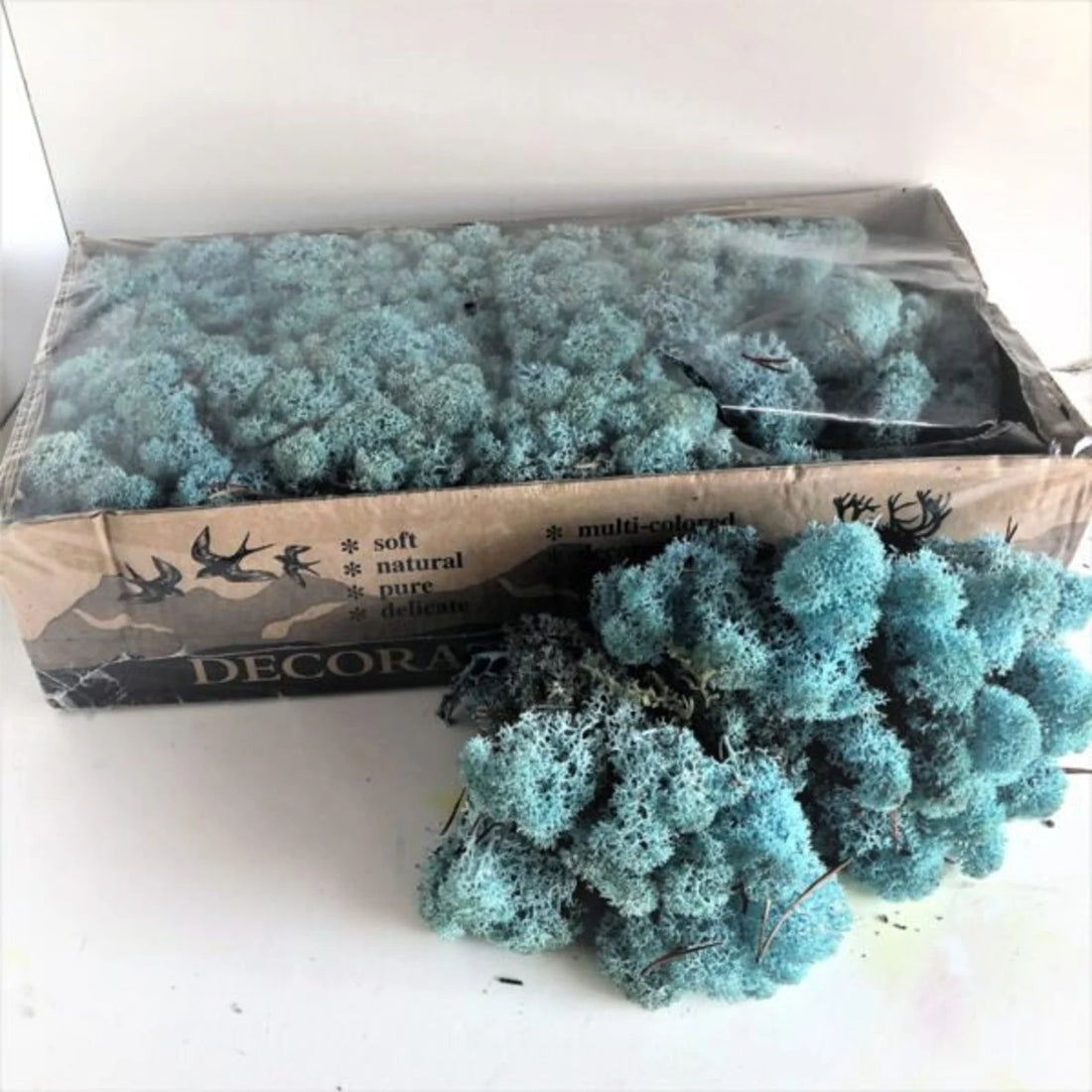 Aquamarine Natural Preserved Reindeer Moss