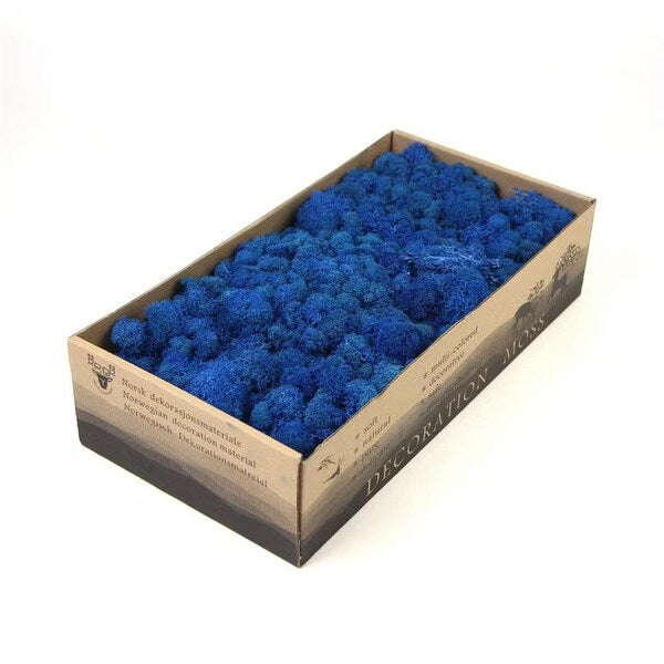 Classic Blue Natural Preserved Reindeer Moss