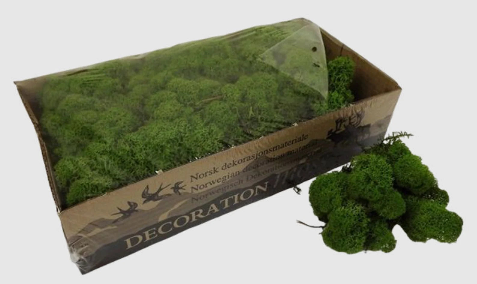 Dark Green Natural Preserved Reindeer Moss