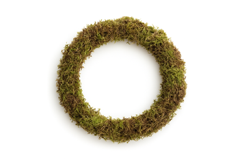 Fresh Moss Wreath Ring Base