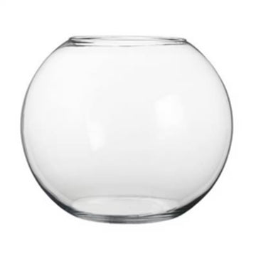 Glass Fish Bowl