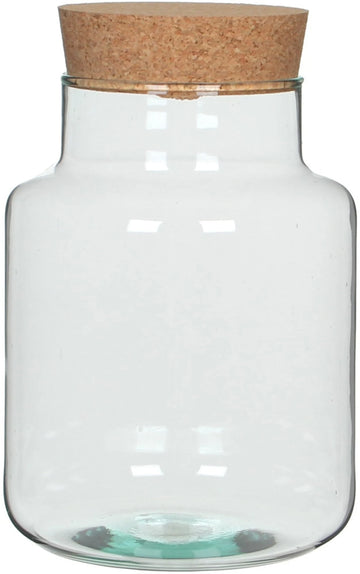 A small transparent glass jar sealed with a natural cork lid. Perfect for storing dried herbs, sand, tiny trinkets, or as a decorative element in a terrarium or craft project.