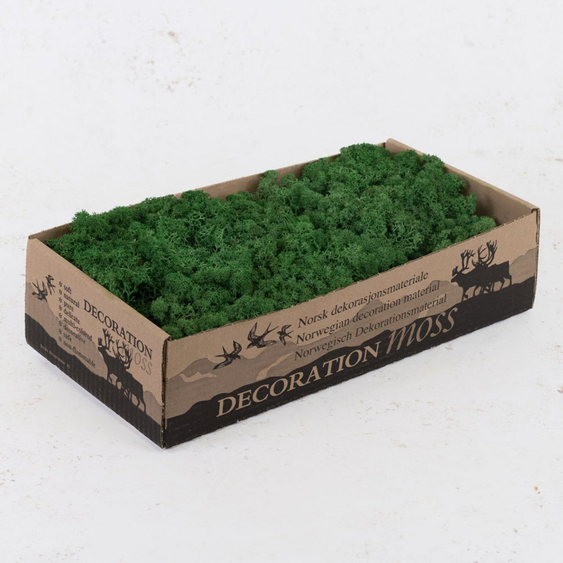 Grass Green Preserved Reindeer Moss