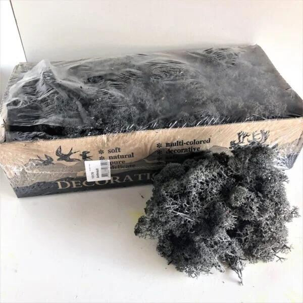 Grey Anthrazite Natural Preserved Reindeer Moss