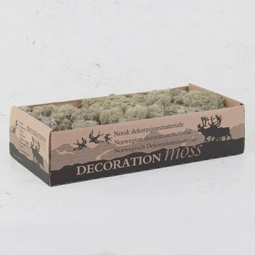 Grey Natural Preserved Reindeer Moss