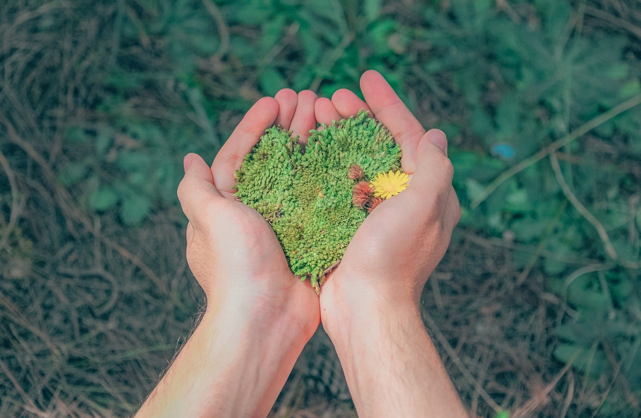 A pair of gentle hands cradles a soft mound of vibrant green moss. The rich texture and earthy tones highlight a deep connection to nature, evoking a sense of tranquility and renewal.