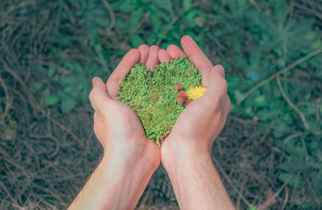 A pair of gentle hands cradles a soft mound of vibrant green moss. The rich texture and earthy tones highlight a deep connection to nature, evoking a sense of tranquility and renewal.