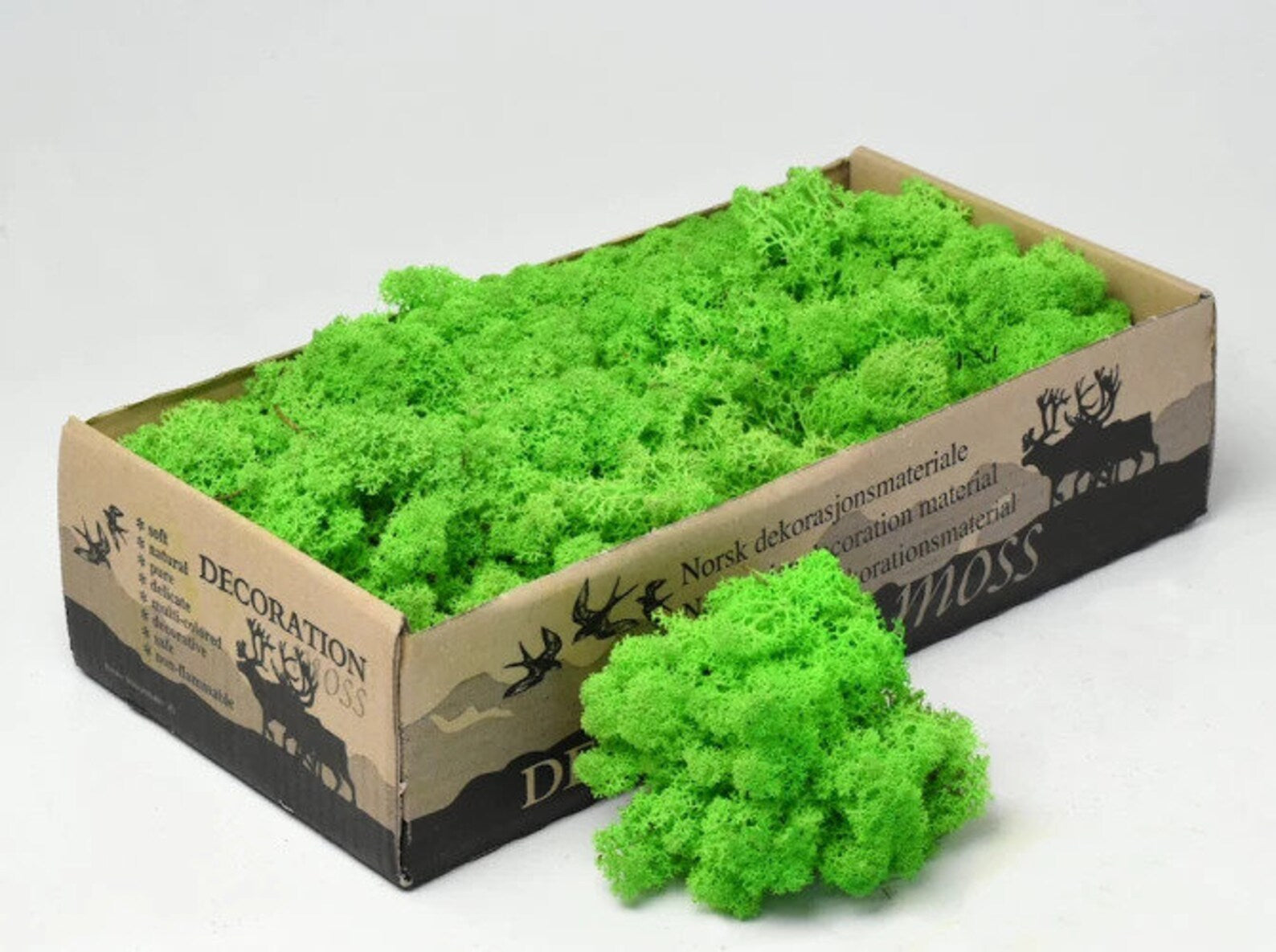 Light Green Grass Natural Preserved Reindeer Moss