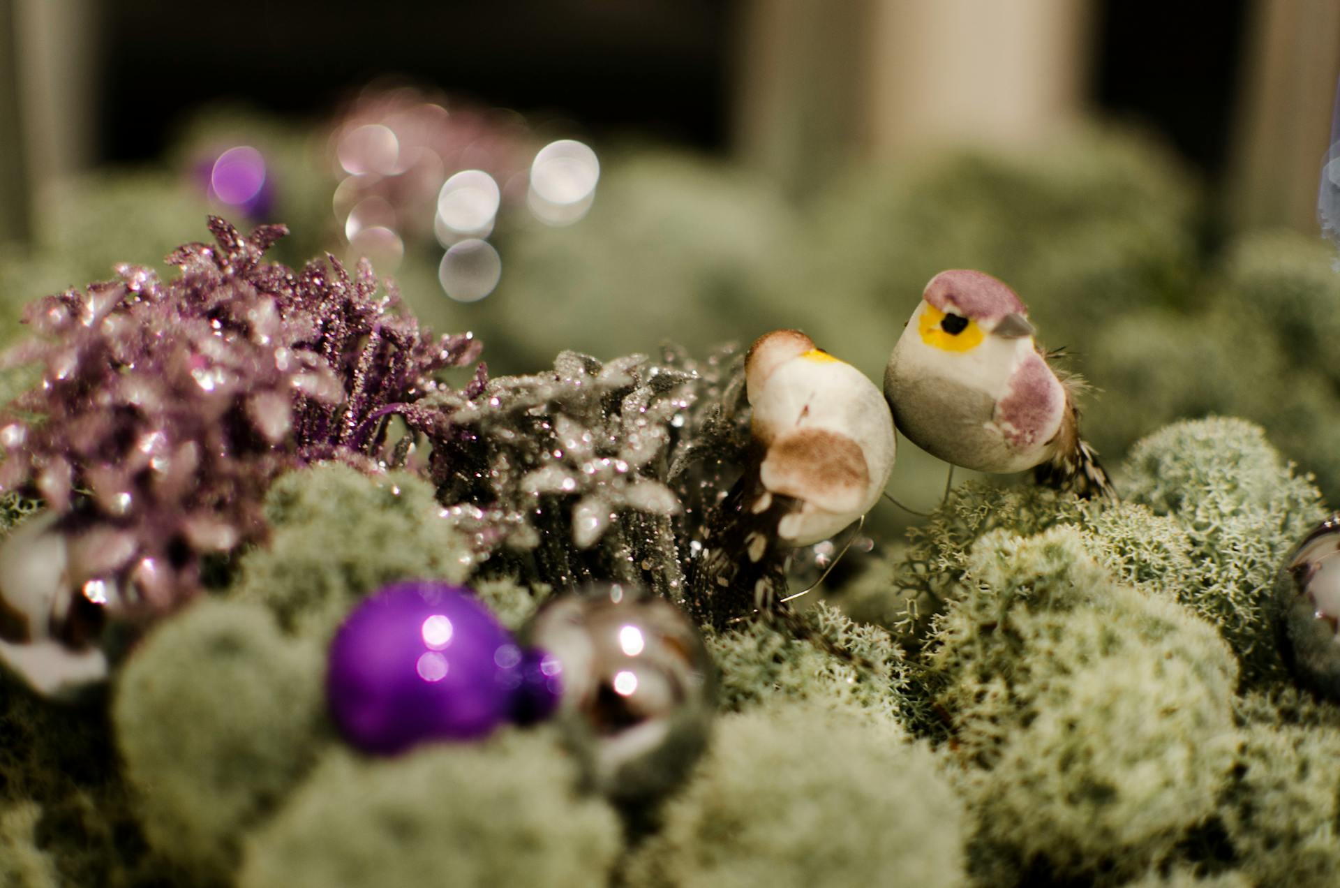 A charming arrangement of vibrant green moss adorned with various decorations, including a small decorative robin. The scene features natural textures and earthy tones, creating a cozy and whimsical woodland-inspired display.
