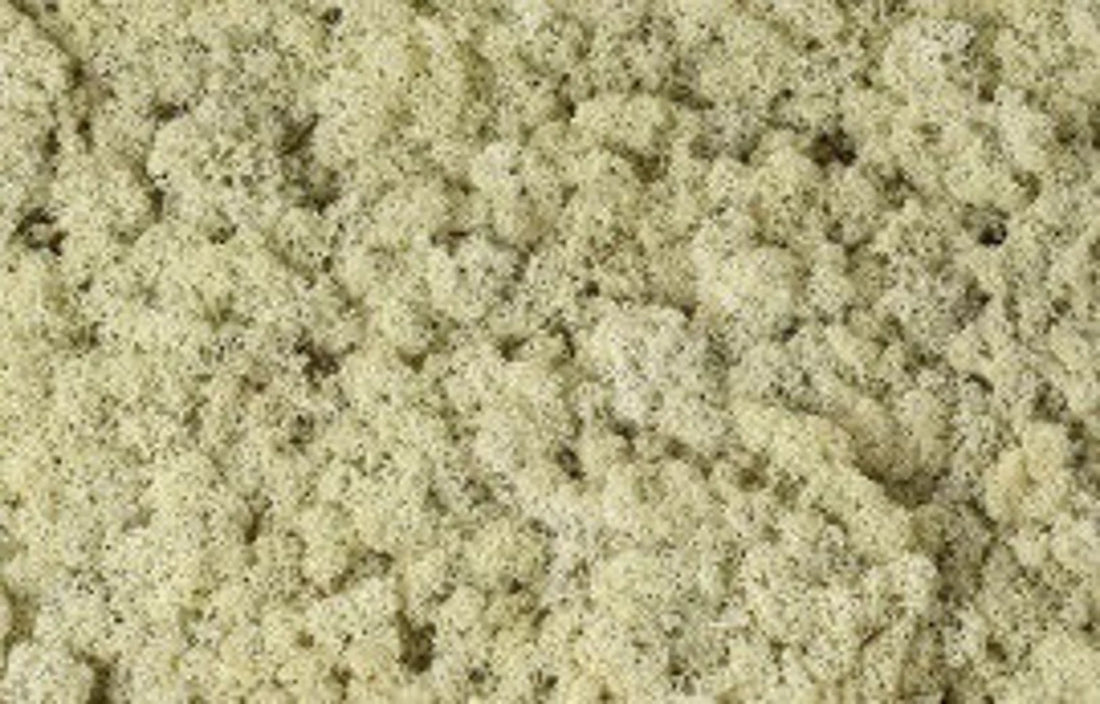Natural Preserved Reindeer Moss