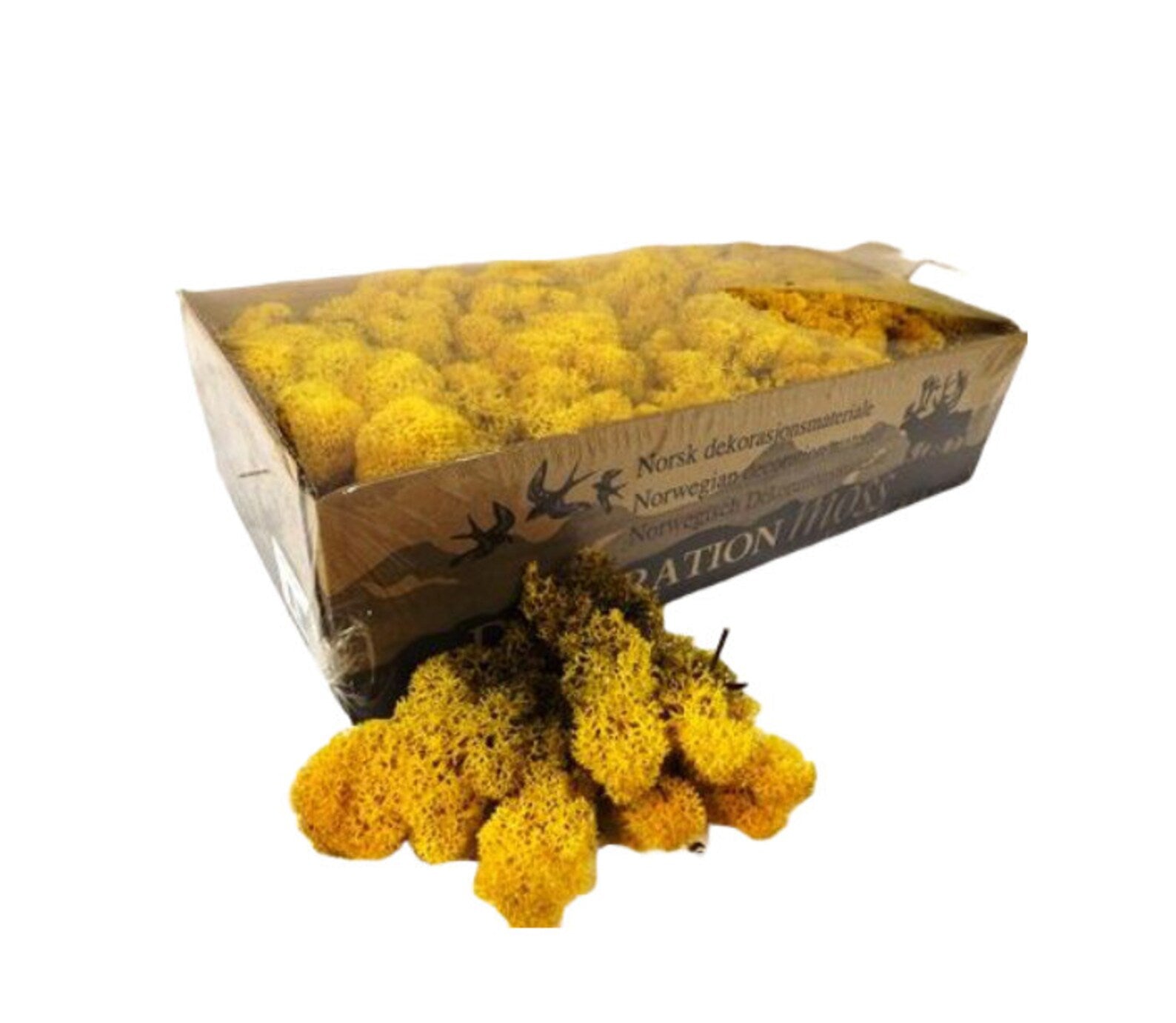 Yellow Natural Preserved Reindeer Moss 450 Gram Box
