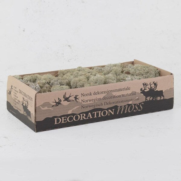 Grey Natural Preserved Reindeer Moss 450 Gram Box